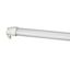 Picture of LED CLIP-IN CRN/SIL APPLICATION
