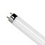 Picture of LAMP, FLUORESCENT