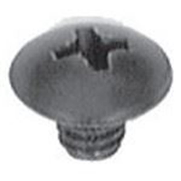 Picture of Screw, Anthony Door